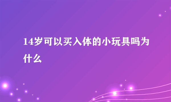 14岁可以买入体的小玩具吗为什么
