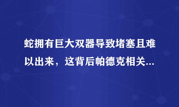 蛇拥有巨大双器导致堵塞且难以出来，这背后帕德克相关的原因是什么