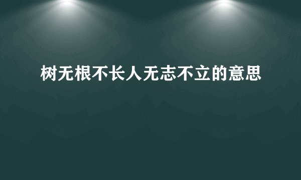 树无根不长人无志不立的意思