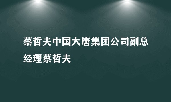 蔡哲夫中国大唐集团公司副总经理蔡哲夫