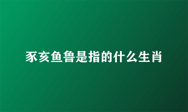 豕亥鱼鲁是指的什么生肖