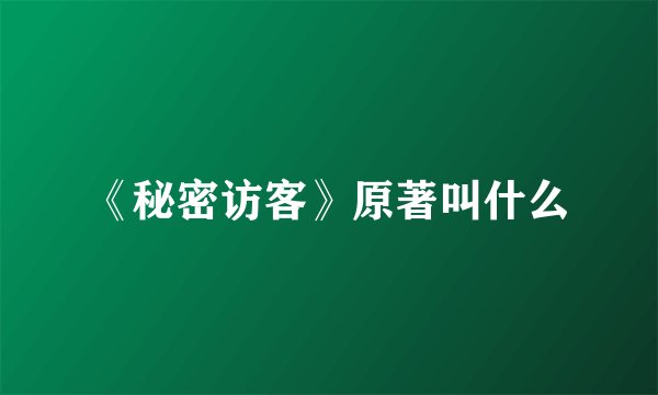 《秘密访客》原著叫什么