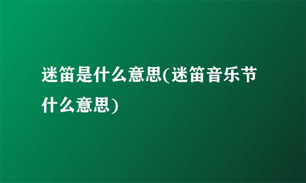 迷笛是什么意思(迷笛音乐节什么意思)