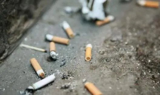 安徽潜山一两烟头可换一斤鸡蛋，清理烟头有何意义？