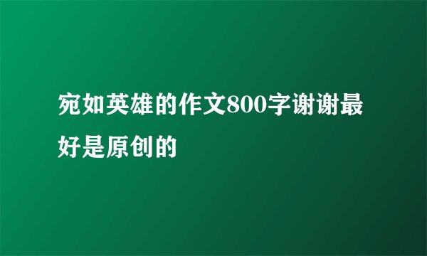 宛如英雄的作文800字谢谢最好是原创的