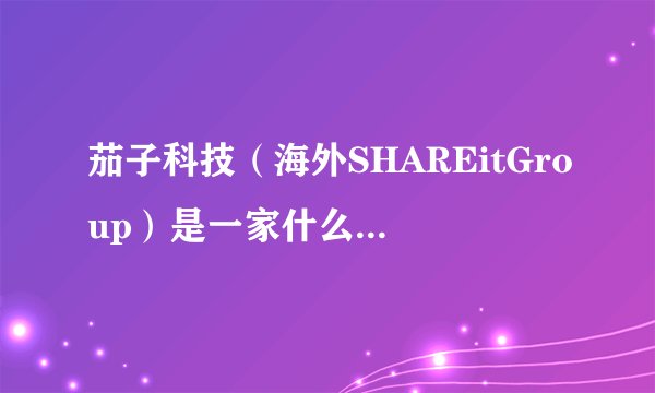 茄子科技（海外SHAREitGroup）是一家什么性质的公司？
