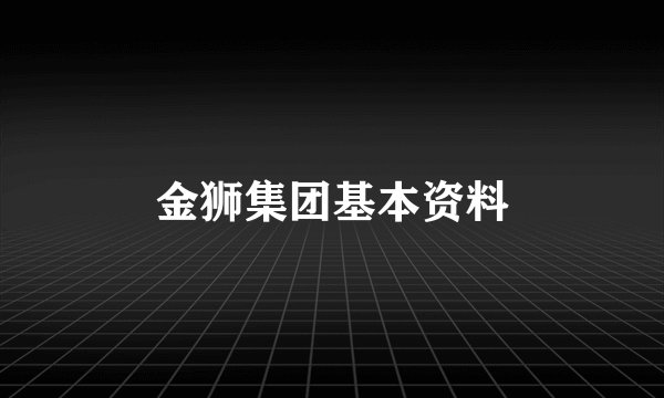 金狮集团基本资料