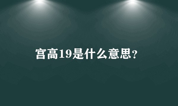 宫高19是什么意思？