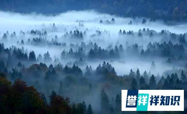 被封400年 四川最神秘旅游禁地：迷魂凼