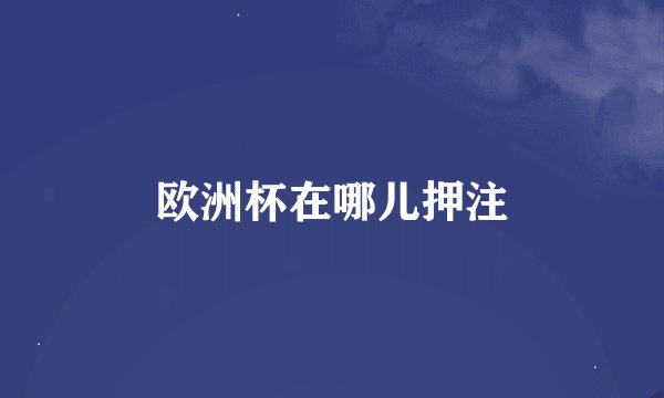 欧洲杯在哪儿押注