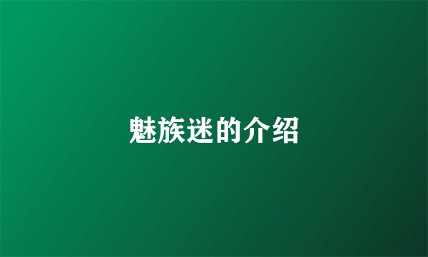 魅族迷的介绍