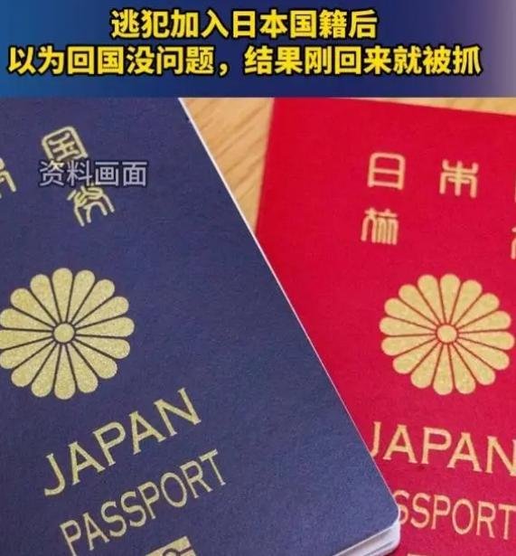 国内的人脸识别是有多厉害，逃犯加入日本国籍刚回国就被抓