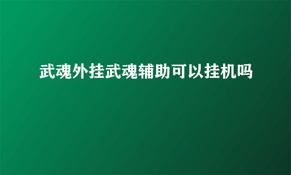 武魂外挂武魂辅助可以挂机吗