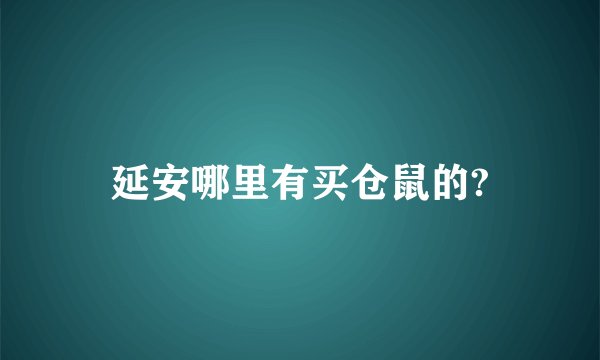 延安哪里有买仓鼠的?