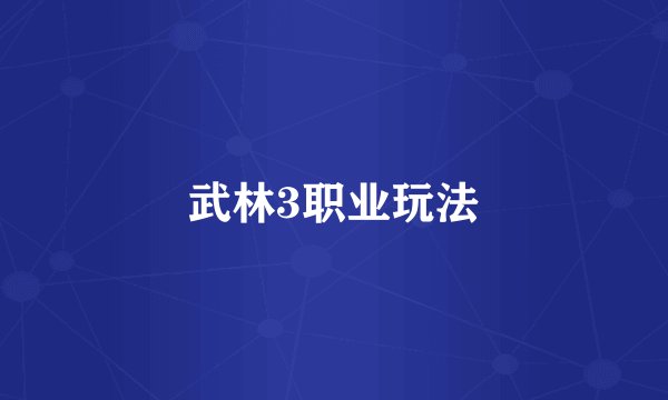 武林3职业玩法