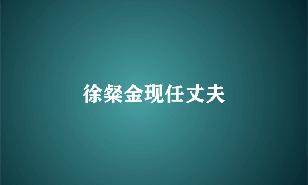 徐粲金现任丈夫