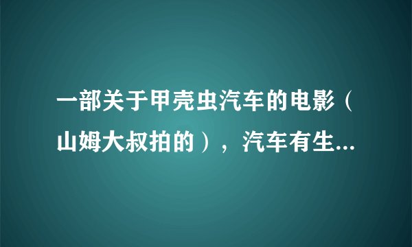 一部关于甲壳虫汽车的电影（山姆大叔拍的），汽车有生命，不是动画。