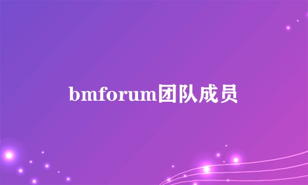 bmforum团队成员