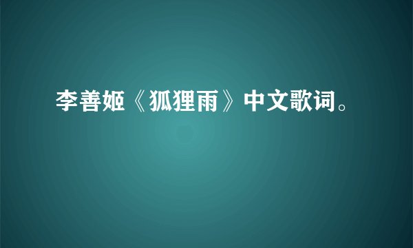 李善姬《狐狸雨》中文歌词。
