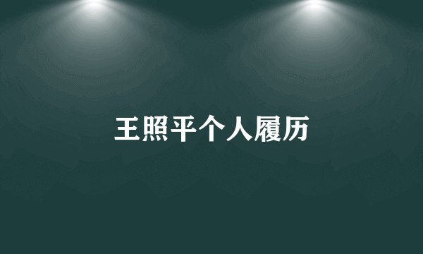 王照平个人履历