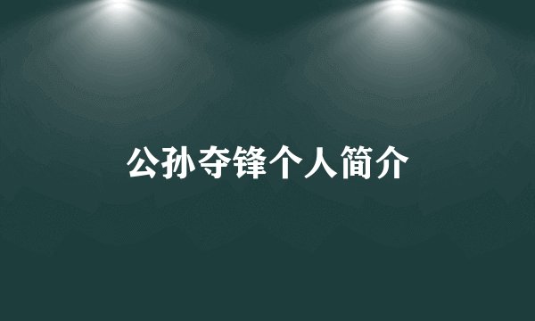 公孙夺锋个人简介