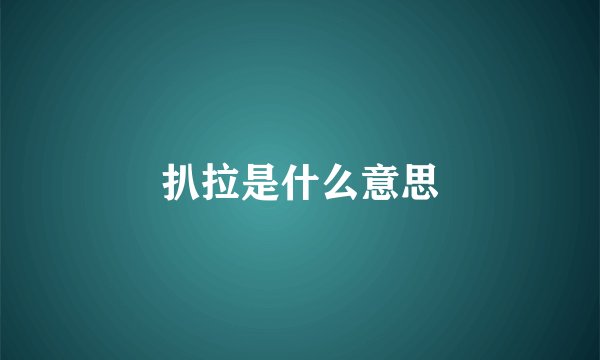 扒拉是什么意思