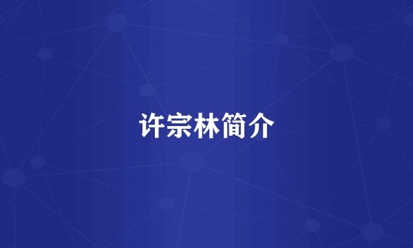 许宗林简介