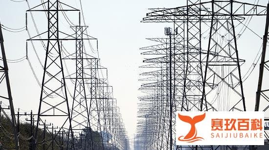 美国得州最大电力公司申请破产 这意味着什么?