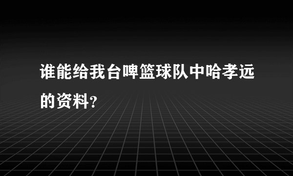 谁能给我台啤篮球队中哈孝远的资料？