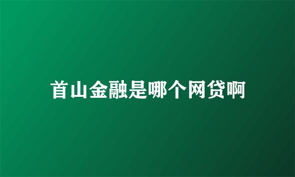 首山金融是哪个网贷啊