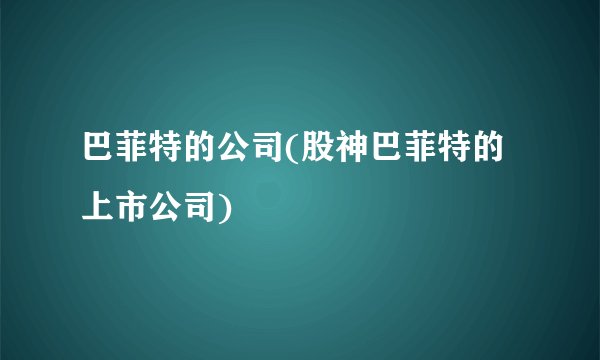 巴菲特的公司(股神巴菲特的上市公司)