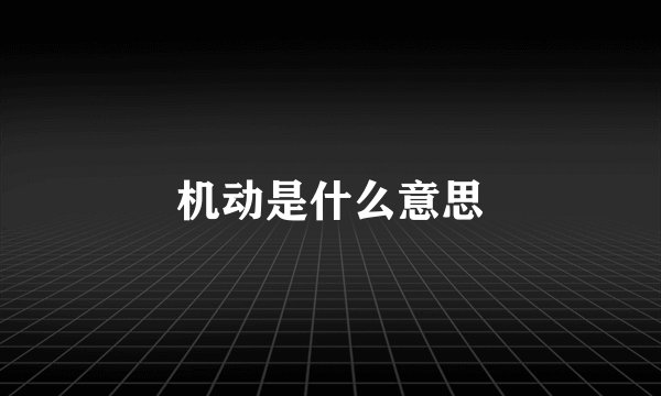 机动是什么意思