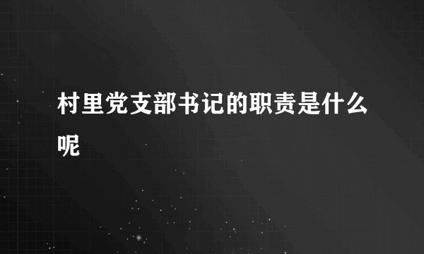 村里党支部书记的职责是什么呢