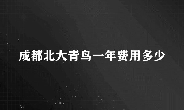 成都北大青鸟一年费用多少