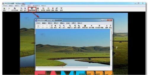 acdsee3.1美化版: