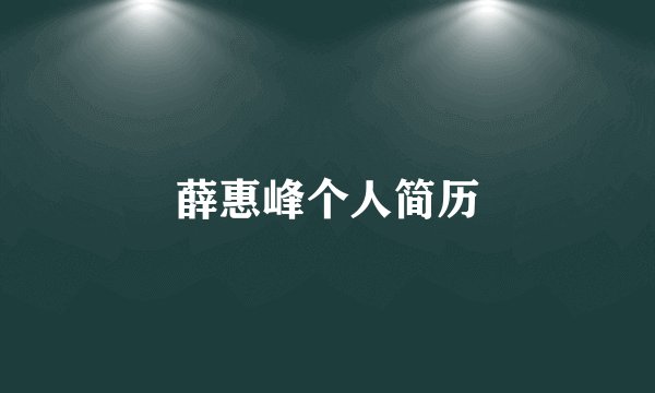 薛惠峰个人简历