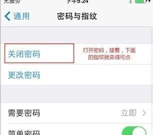 iPhone5S怎么设置指纹解锁功能？
