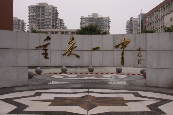 苏新皓在哪个学校就读?