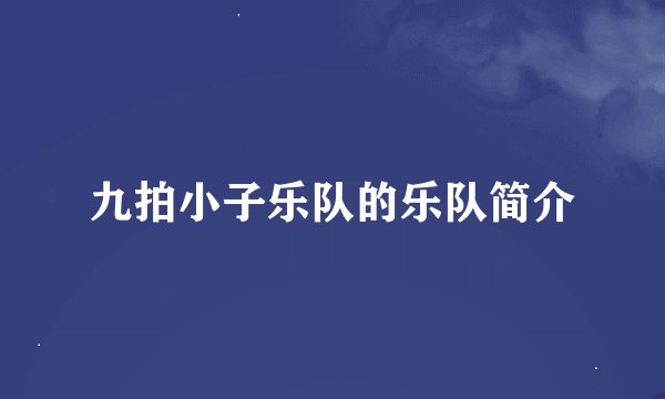 九拍小子乐队的乐队简介