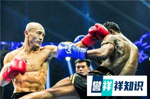 一龙不敢跟西提猜,杀玉狼打,找了个傻大个当做与播求三番战的磨刀石