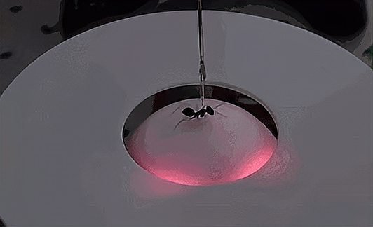 热锅上的蚂蚁 一一歇后语