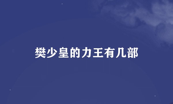 樊少皇的力王有几部