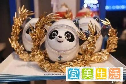 不再“一墩难求”，想要冰墩墩的看这里