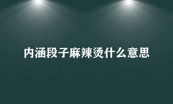 内涵段子麻辣烫什么意思