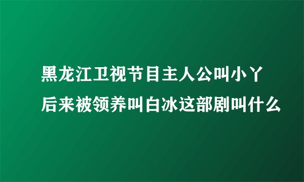 黑龙江卫视节目主人公叫小丫后来被领养叫白冰这部剧叫什么