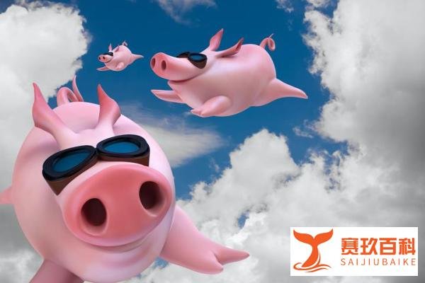 今年猪肉应该降价，反而大涨价，到底什么原因？