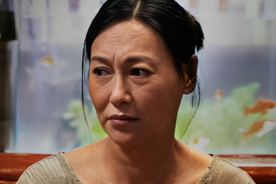 电影瞒天过海讲的是什么故事
