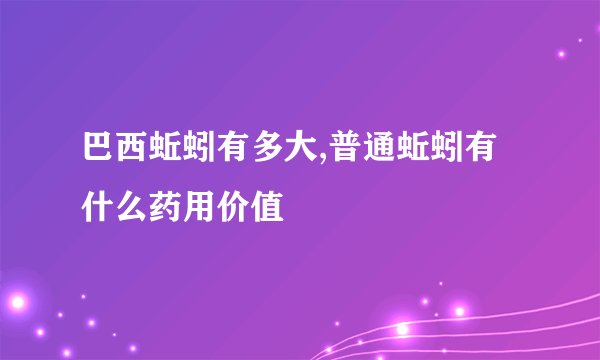 巴西蚯蚓有多大,普通蚯蚓有什么药用价值