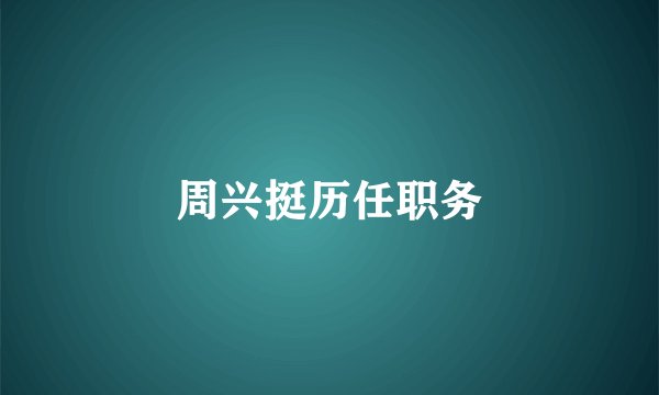 周兴挺历任职务