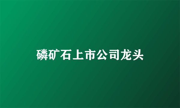 磷矿石上市公司龙头